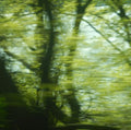 Green Tape 1